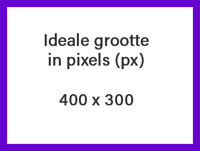 Pynter_400x300 ideale grootte.png